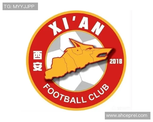 西安足球队球员个人能力分析与战术适应性研究